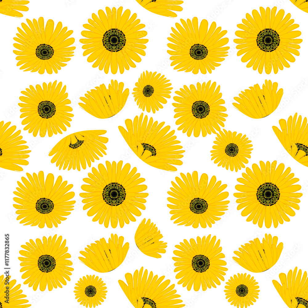 Seamless pattern of sun flowers Seamless pattern of sun flowers