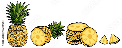 pineapple vector  isolated on white background.	