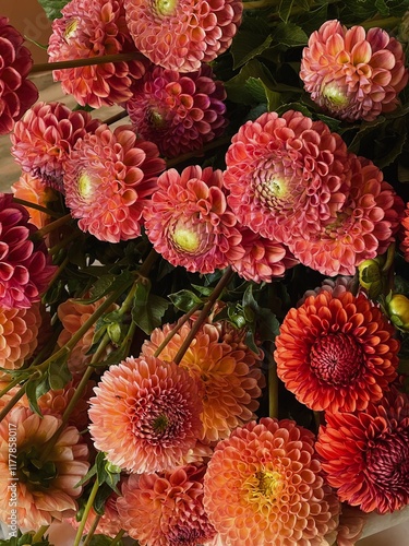 Many fresh red and orange flowers photo