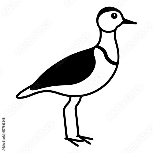 black headed gull