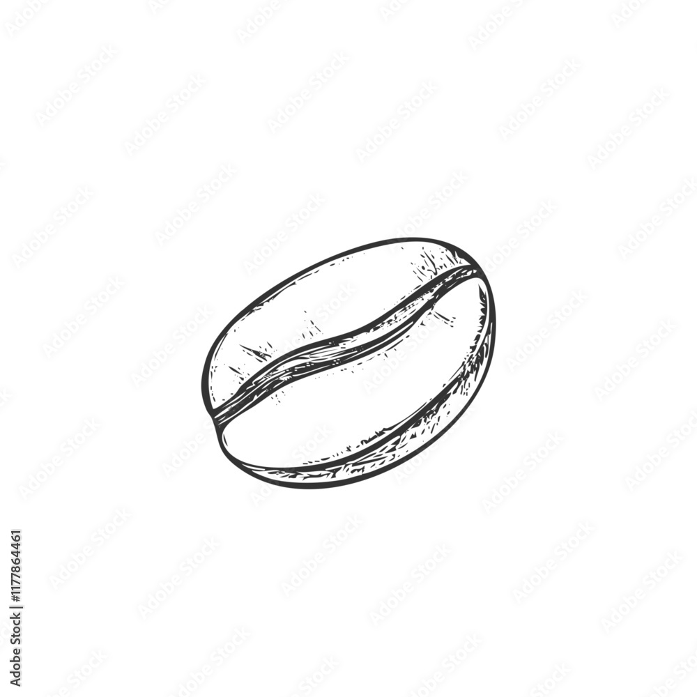 Coffee Bean Hand-Drawn Vector, Graphic Style, Cartoon Illustration, Black and White, Sketch Style, Isolated on White Background Coffee Bean Hand-Drawn Vector, Graphic Style, Cartoon Illustration, Black and White, Sketch Style, Isolated on White Background