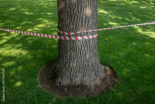 Tree Trunk Encircled with Red and White Caution Tape photo