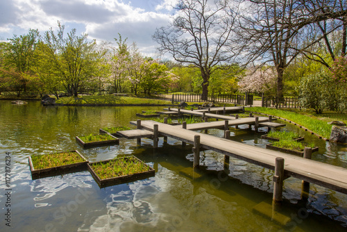 Amazing   wooden bridge  zigzag  and waterfall in Japanese garden of Hasselt photo