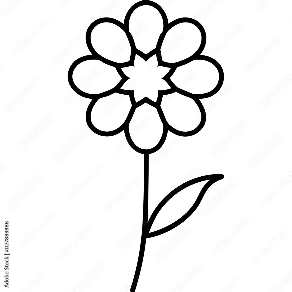orchid isolated on white orchid isolated on white