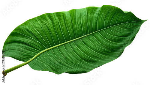 green banana leaf isolated on transparent background generative ai