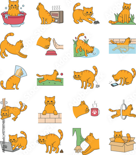 Cat Active Life