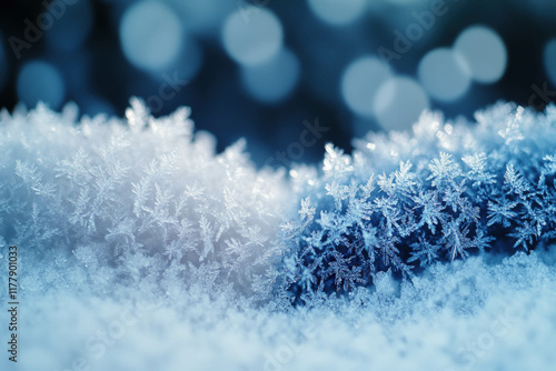 Summer And Winter Background