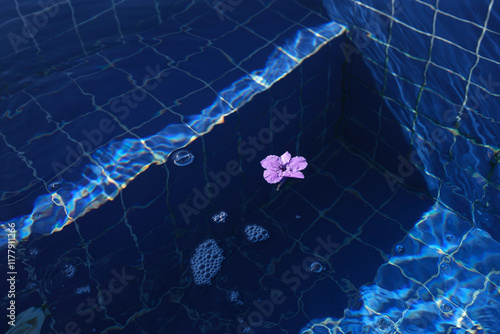 A delicate purple flower floats calmly in the clear blue water photo