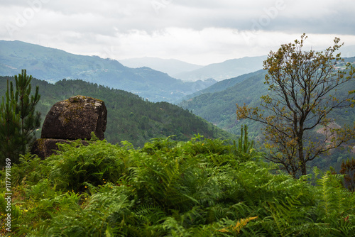 Verdant Forest Hills with Rocky Landscape photo