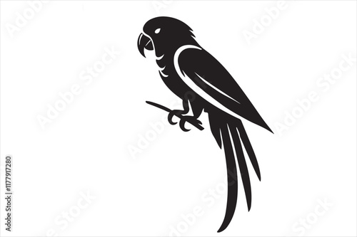 Beautiful parrot bird Silhouette this is a editable file