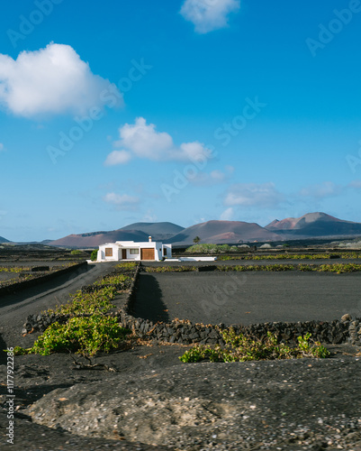 Traditional Lanzarote farmstead photo