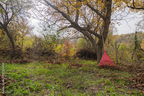 Leaf removal with rake. photo