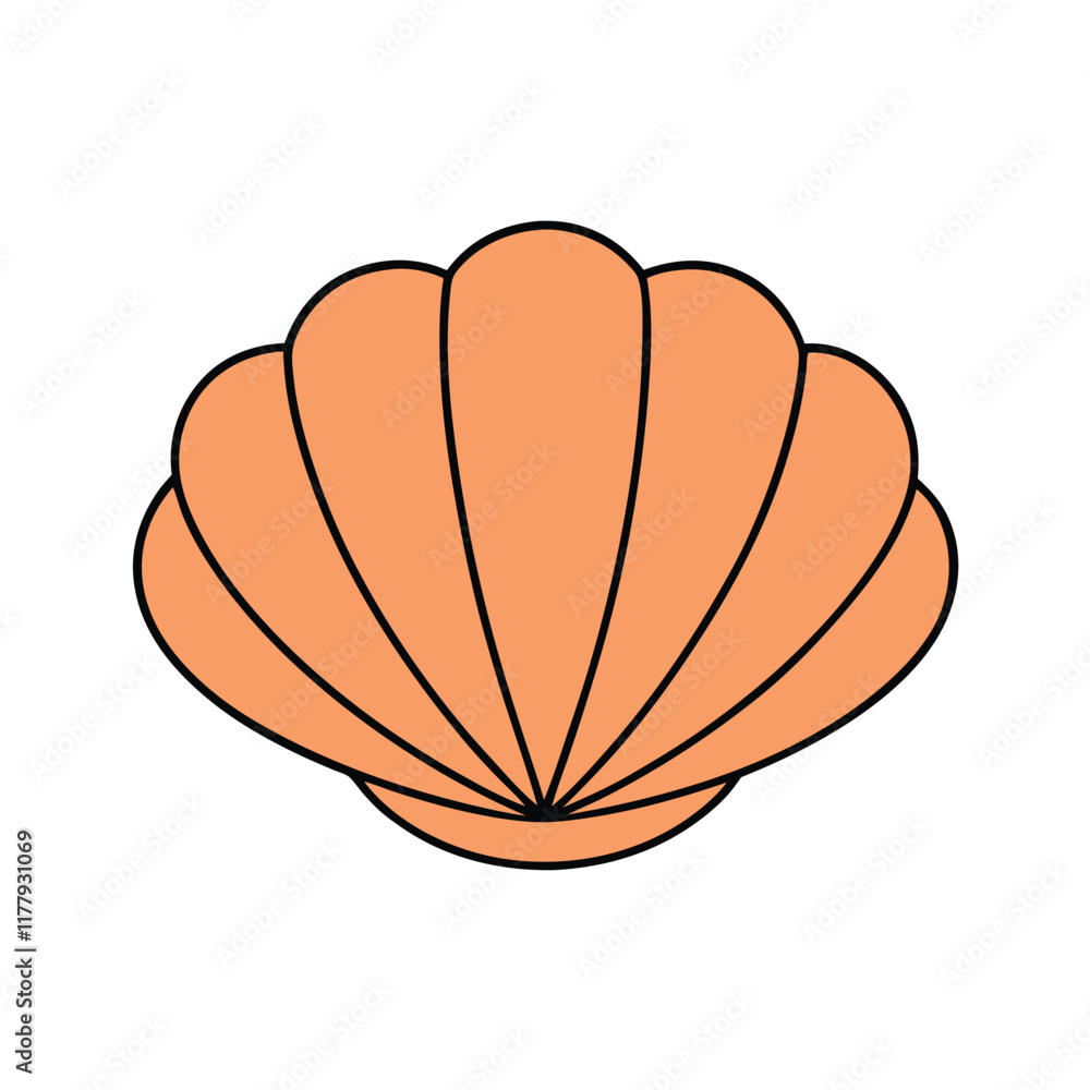 shell vector design shell vector design