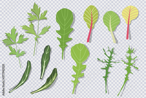 Mix of salad leaves with shadow isolated on transparent. Set of green red raw arugula, spinach, lettuce leaves, watercress. Organic vitamin ingredients for cooking healthy food. Vector illustration
