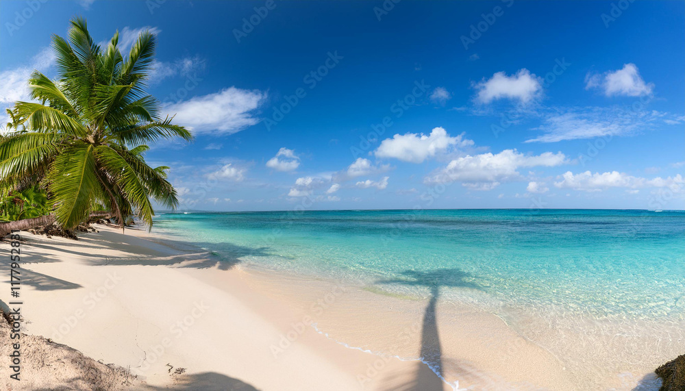 idillyc panorama of tropical beach calm ocean palm trees blue sky idillyc panorama of tropical beach calm ocean palm trees blue sky