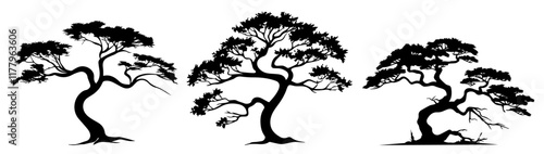 elegant black and white vector illustration of three stylized bonsai trees