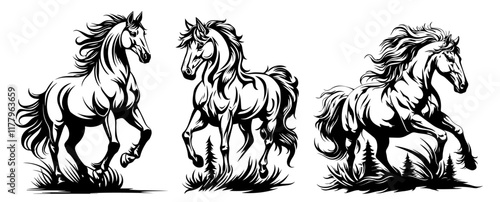 black and white vector illustration of three majestic horses in dynamic and artistic poses