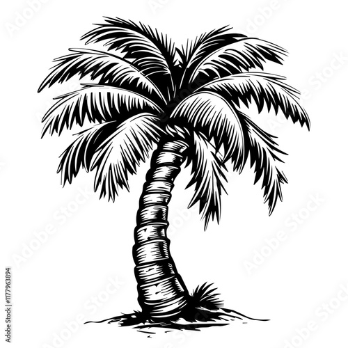 creative vector artwork of a palm tree symbolizing summer and tropics back and white vector graphic