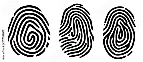 detailed vector artwork of fingerprint patterns in monochrome with clean lines