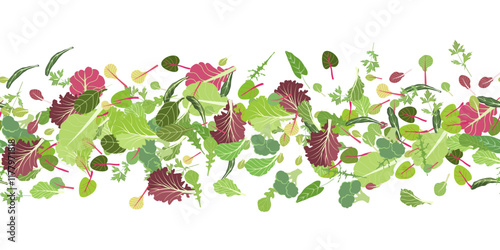 Mix of salad leaves. Cartoon set of green red raw leaves seamless pattern. Arugula, spinach, lettuce leaf, watercress. Organic vitamin ingredients for cooking healthy food. Vector illustration
