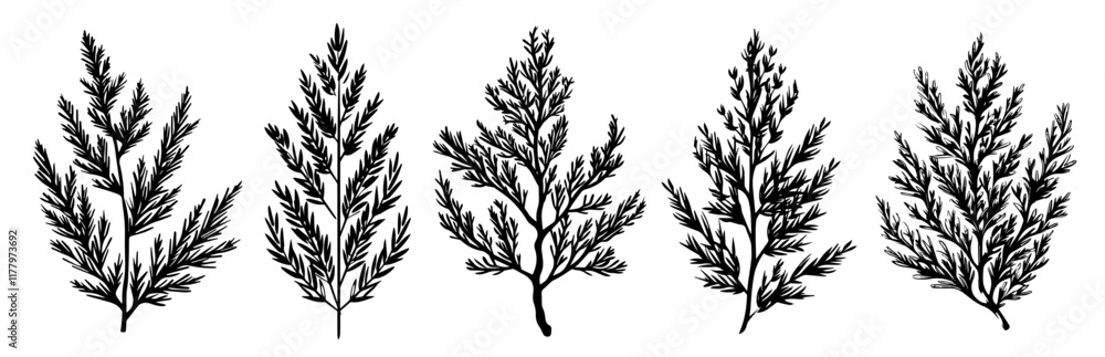 elegant line art featuring a variety of leaves and natural branches elegant line art featuring a variety of leaves and natural branches