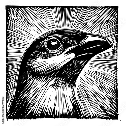 dramatic bird head vector with engraved texture and radiant lines in vintage woodcut style