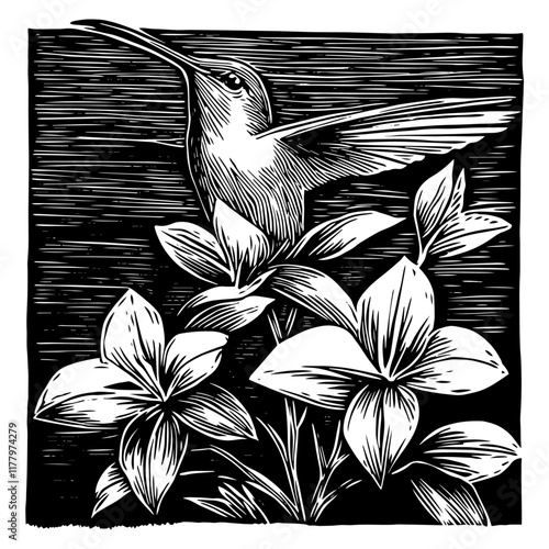 realistic linocut-style vector artwork of a hummingbird and floral elements