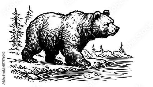 vector bear in nature illustration