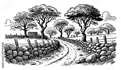 rural landscape vector with stone wall and winding road