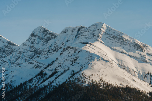 Scenic view of mountains in Banff National Park in winter  photo