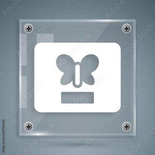 White Butterfly in a frame icon isolated on grey background. Herbarium. Square glass panels. Vector
