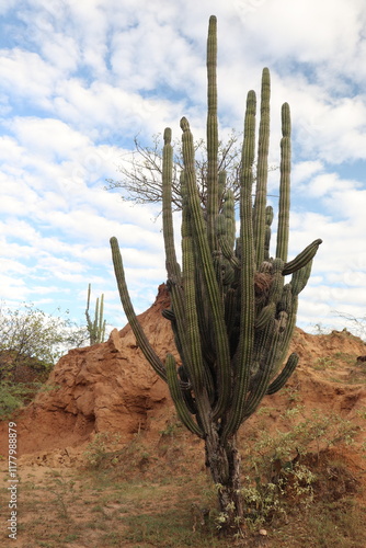 Desierto de la Tatacoa Colombia photo