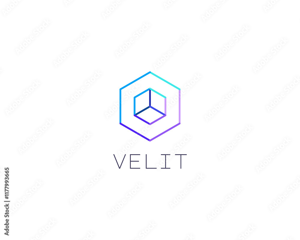 Abstract geometric logo. Cube hexagon line logo. Creative building construction icon. Abstract geometric logo. Cube hexagon line logo. Creative building construction icon.