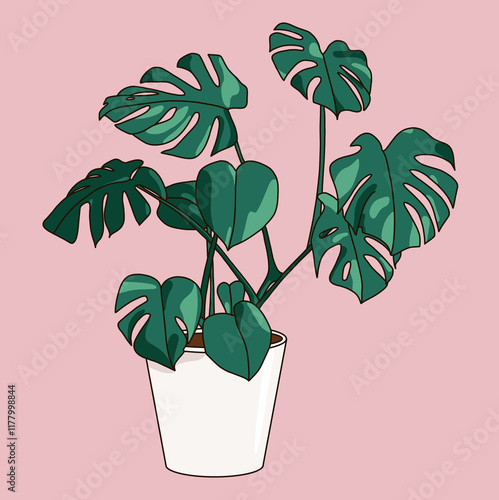 Potted Monstera Plant Illustration photo