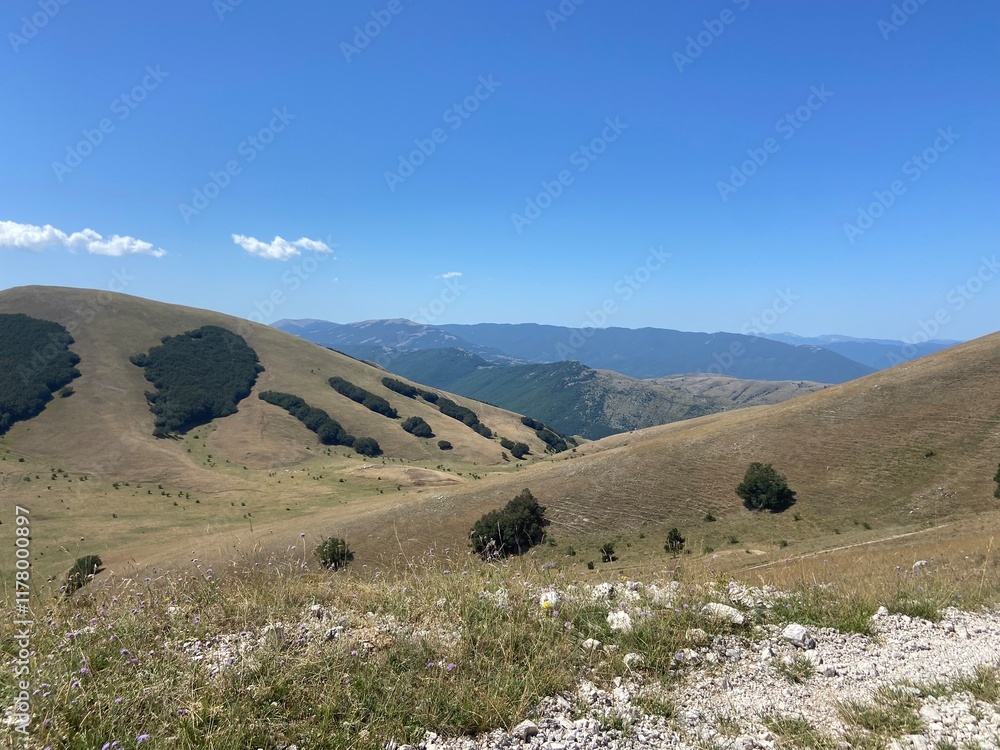 Fototapeta premium landscape 