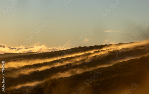 Foggy at Sunrise photo