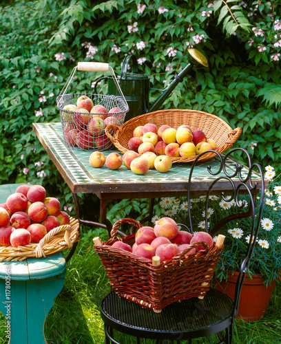 harvest of fresh peaches displayed on a rustic table in a lush garden photo