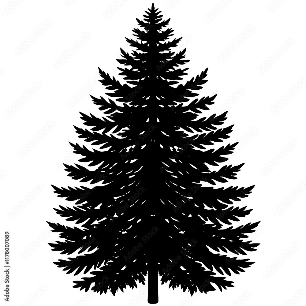 Silhouette of Balsam Fir on White Silhouette of Balsam Fir on White