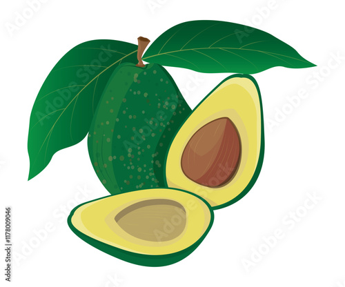 isolated avocado on white background vector design