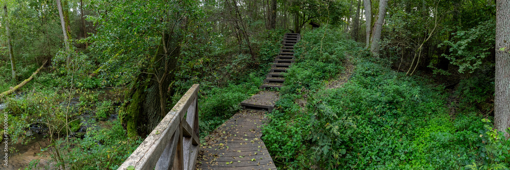 Fototapeta premium Panoramic view of wooden path (tourist trail) leading along the Sopot river. Nature reserve Czartowe Pole (Devil's Field). Landscape park Solska Forest at Roztocze, Poland, Europe.
