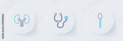 Set line Sperm, Stethoscope and Human kidneys icon. Vector