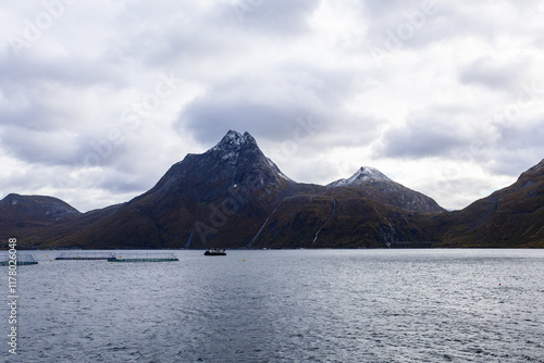 Autumn landscape of Senja Island in Northern Norway with colorful foliage, mountains, and a serene fjord. photo