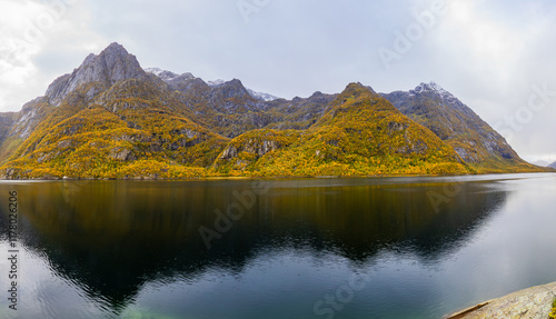 Autumn landscape in Lofoten Islands, Northern Norway, featuring colorful foliage, and a peaceful fjord. photo