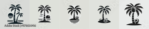 vector beautiful coconut tree silhouette