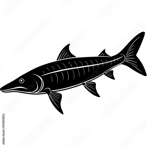 Elegant Siberian Sturgeon Silhouette