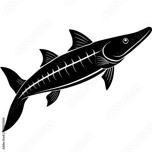 Elegant Siberian Sturgeon Silhouette