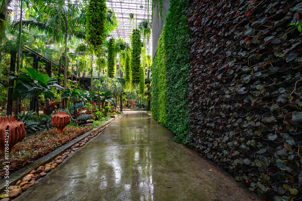 Fototapeta premium Plants and flowers of sky garden