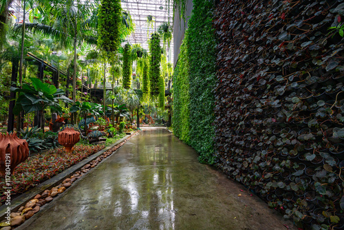 Plants and flowers of sky garden photo