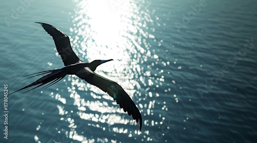 A Frigatebird gliding gracefully over the ocean's surface, its long, angular wings casting shadows on the shimmering water below. photo