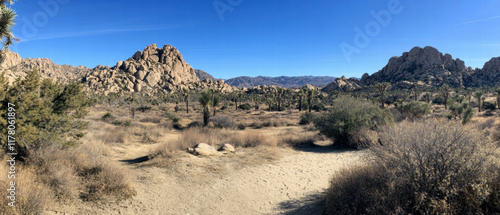 Stunning desert landscape under a clear blue sky with rocky formations and vegetation